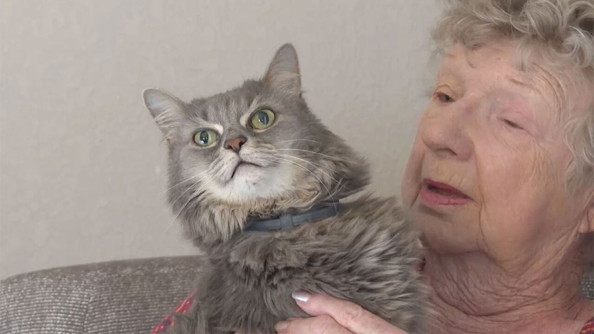 <i>WPTV via CNN Newsource</i><br/>Mattie Gordon and all of her three cats survived the devastating tornado on Oct. 9.