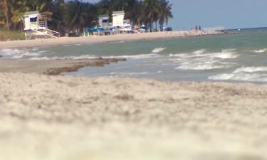 Miami-Dade Police are investigating after a human head was reportedly found ashore on a Key Biscayne beach.