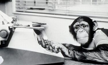 Researchers from Australia have rejected the Infinite Monkey Theorem as "misleading."