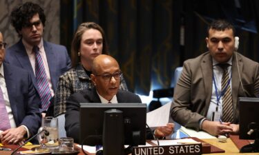 US Ambassador Robert Wood speaks during a United Nations Security Council meeting on November 20 in New York City.