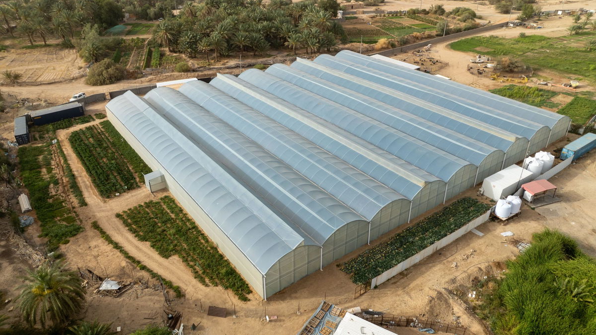 <i>Courtesy SABIC via CNN Newsource</i><br/>A prototype farm in Bada