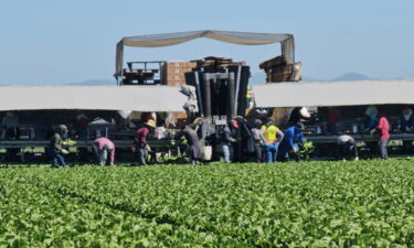 El condado de Santa Cruz aborda la protección de los inmigrantes tras las elecciones presidenciales