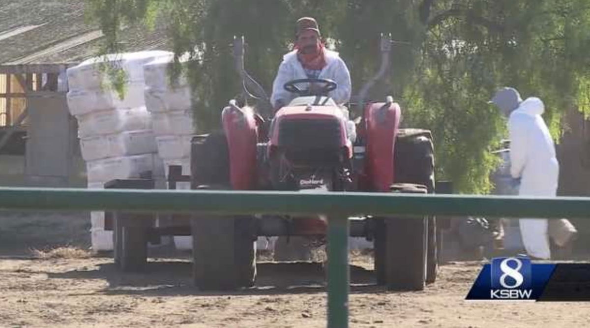 <i>KSBW via CNN Newsource</i><br/>Tens of thousands of ducks and geese had to be put down after the bird flu crept into a hatchery in Monterey County.