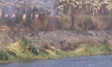 Se registran Incendios a lo largo del Río Colorado en Yuma