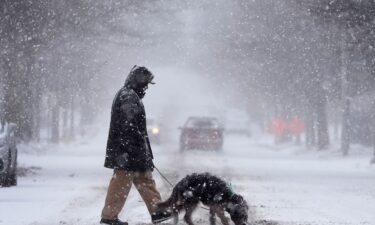 Enrique Davila crosses the street with his dog