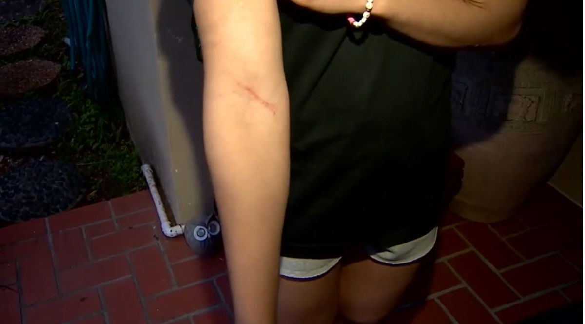 <i>WSVN via CNN Newsource</i><br/>A 16-year-old girl is recounting the story of an attempted abduction she experienced in South Miami