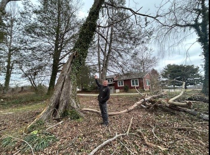 <i>WLOS via CNN Newsource</i><br/>Experts tell News 13 that this week's forecasted strong winds pose a risk to large trees that were already impacted by Hurricane Helene.