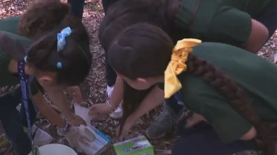 <i>WFOR via CNN Newsource</i><br/>Students at Twin Lakes Elementary are doing their part to protect our planet in partnership with the Dream in Green organization.