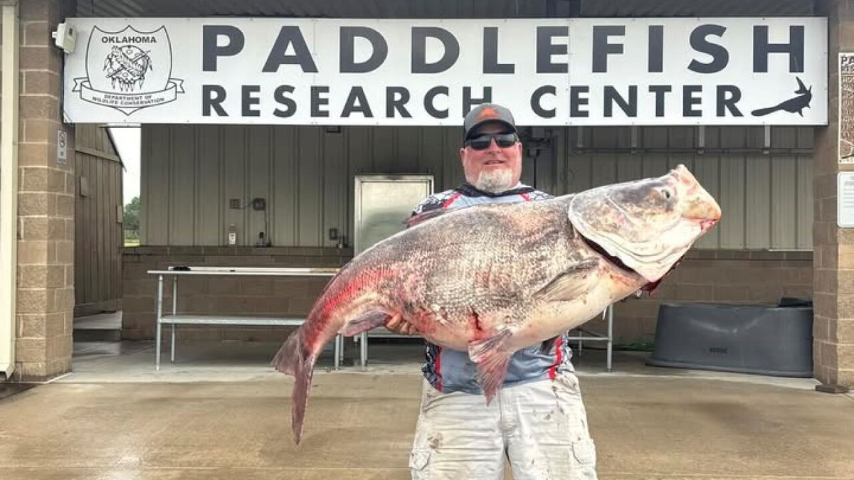 <i>Oklahoma Department of Wildlife Conservation/KJRH via CNN Newsource</i><br/>An Oklahoma man beat his own fishing record at the Grand Lake of the Cherokees