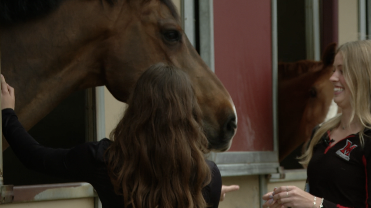 <i>De'Jah Gross/WCPO via CNN Newsource</i><br/>Miami University is offering a unique way to ease stress as Student Counseling Services hosts horse therapy for students.