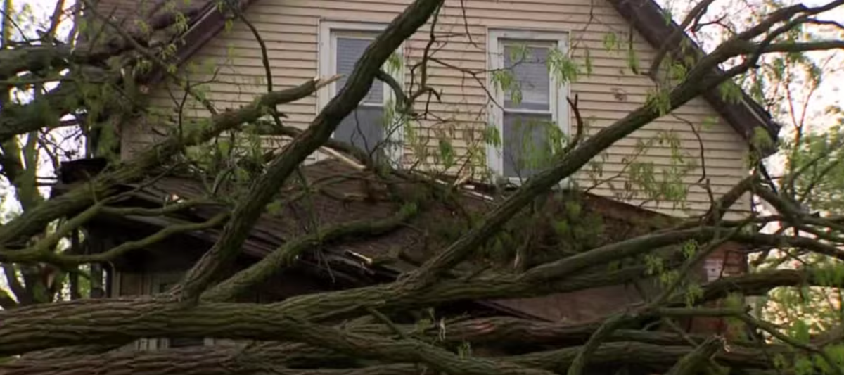 <i>WISN via CNN Newsource</i><br/>Severe weather left heavy damage in Mayville