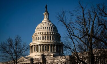 The US Capitol is pictured in Washington