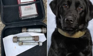 A K-9 in Saginaw