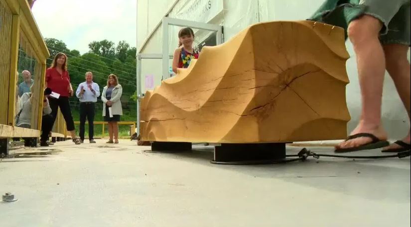 <i>WLOS via CNN Newsource</i><br/>A new project called “Echoes of the Forest