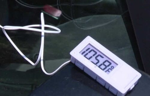 The Nebraska Humane Society (NHS) held a demonstration showcasing the dangers of leaving animals in a car.