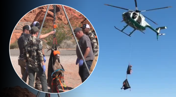 <i>KTNV via CNN Newsource</i><br/>