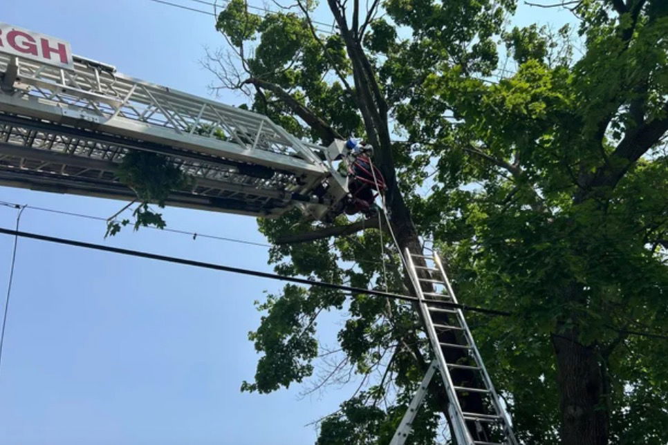 <i>Pittsburgh Public Safety Department via CNN Newsource</i><br/>A worker was stuck 30 feet up in a tree hanging upside down for about half an hour before he was rescued in Pittsburgh's Bloomfield neighborhood on June 3.
