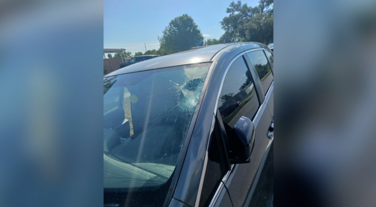 <i>FHP/WFTX via CNN Newsource</i><br/>Windshield of the minivan that hit Eden Moody.