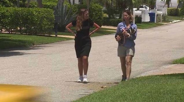 <i>WPBF via CNN Newsource</i><br/>In two separate incidents