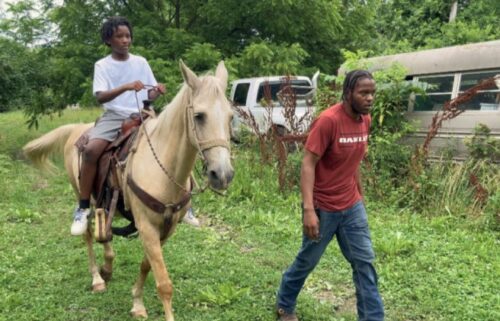Agriculture and the rural lifestyle can often be difficult to find in the city. To bridge that gap