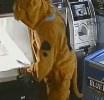 Gas up The Mystery Machine. It looks like the Tuscaloosa Police Department has another mystery on its hands. Tuscaloosa Police are searching for a Scooby Doo suit-wearing burglar.