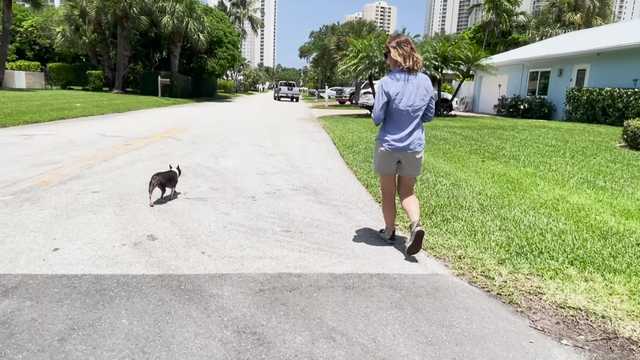 <i>WPBF via CNN Newsource</i><br/>According to a police report filed with the West Palm Beach Police Department
