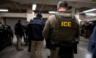 US Immigration and Customs Enforcement (ICE) agents