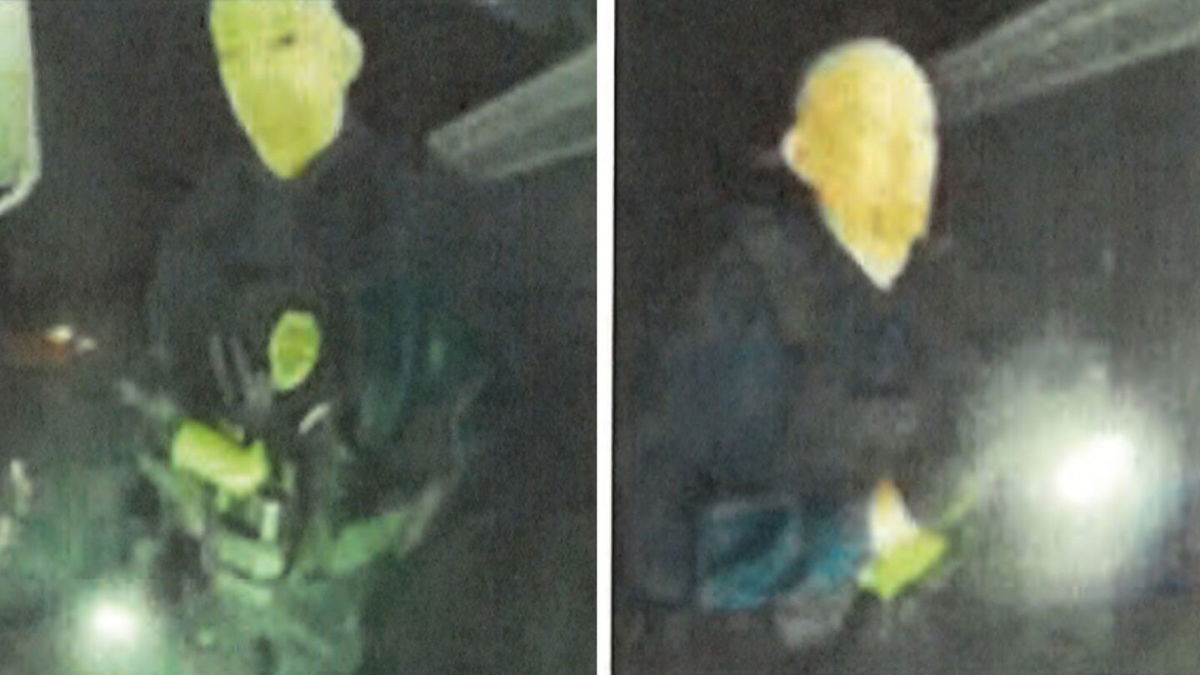 <i>US Attorney's Office via CNN Newsource</i><br/>Components of a recovered Bertta 92 9mm handgun.