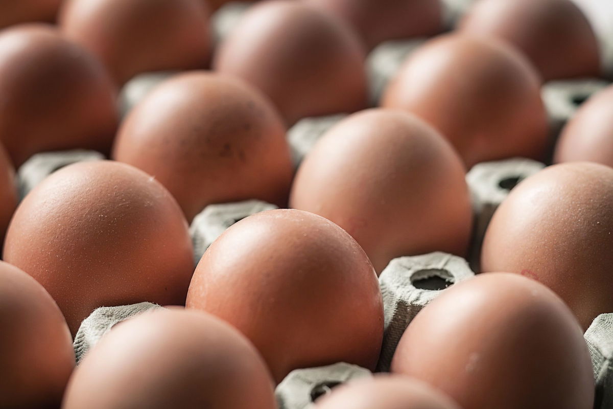 <i>Westend61/Getty Images via CNN Newsource</i><br/>The recalled eggs were distributed by the August Egg Company.