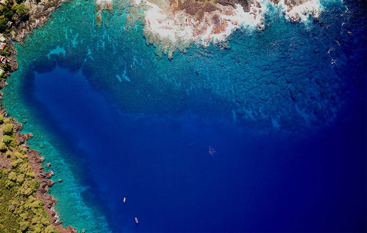 <i>Greg Asner via CNN Newsource</i><br/>Sea urchin populations are ballooning in the bay
