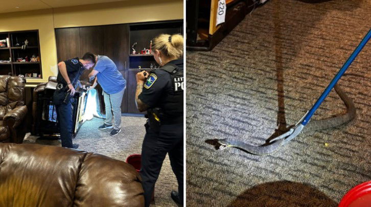 <i>Little Elm Police Department via Facebook/KTVT via CNN Newsource</i><br/>The Little Elm Police Department had to step in and rescue the Little Elm Fire Department after an unwelcome visitor greeted them.