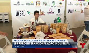 Promueven productos artesanales de todo el mundo