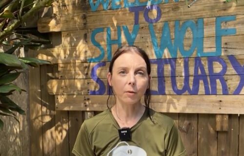 Sarah Blachette is a veteran who receives help from Home Base Florida.