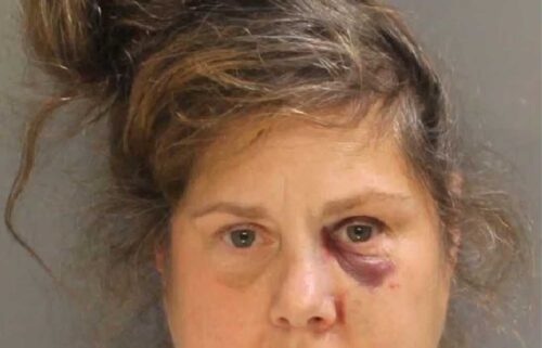 A woman was charged after attacking a 72-year-old with an ice chopper in York County