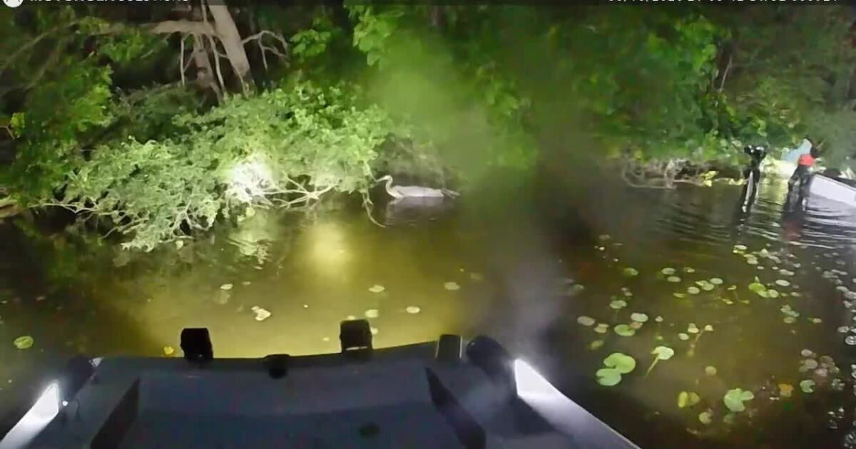 <i>Oakland County Sheriff's Office/WXYX via CNN Newsource</i><br/>The Oakland County Sheriff's Office said its search & rescue team was able to save a Great Blue Heron that was tangled in fishing line over the weekend.