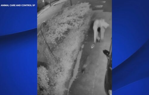 San Francisco Animal Control is looking for someone caught on camera abusing a raccoon.