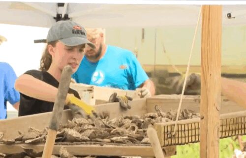 Veterans and active-duty service members helped the Chesapeake Bay Foundation (CBF) add more oysters to Maryland waters.
