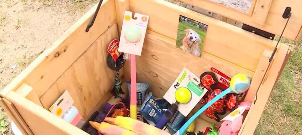 <i>WMTW via CNN Newsource</i><br/>Jessie's Dog Treasures is a box full of toys and treats sitting along the road in the Hills Beach Association neighborhood in Biddeford. Sean Reardon built the box in memory of his golden retriever