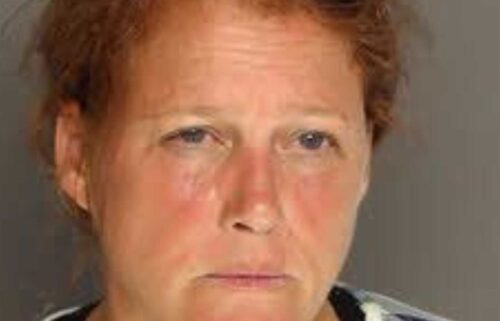 Anne Lachell Sellers has been charged after a 12-year-old was endangered during a jet ski incident in South Carolina.
