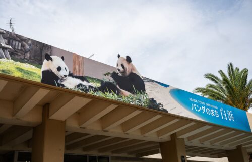 A panda-themed hotel room in Shirahama.