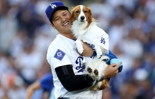 Los Angeles Dodgers player Shohei Ohtani and his dog Decoy at a game in Los Angeles.