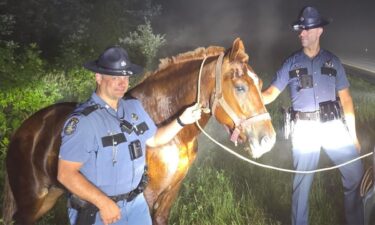 A horse has been safely reunited with its owner after it was spotted wandering along Interstate 95 in central Maine.