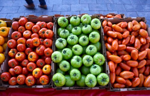Tomatoes contributed a gene that signaled tuber growth in the first potato plants.