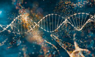 New research suggests that ancient viruses could have contributed to the evolutionary process that resulted in humans