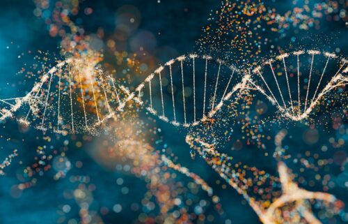 New research suggests that ancient viruses could have contributed to the evolutionary process that resulted in humans