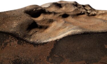 The NWA 16788 meteorite recently sold at auction for $5.3 million.