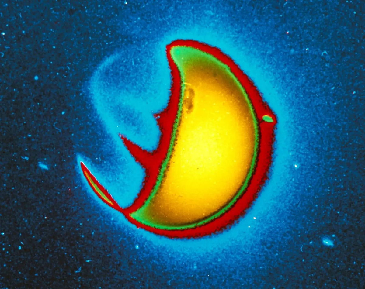 <i>NASA via CNN Newsource</i><br/>From left to right