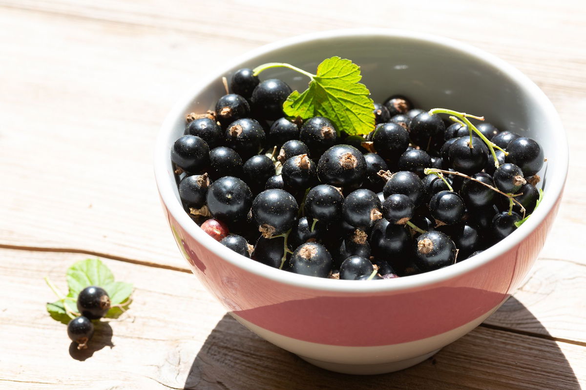 <i>SilviaJansen/iStockphoto/Getty Images via CNN Newsource</i><br/>A bowl of black currant berries.